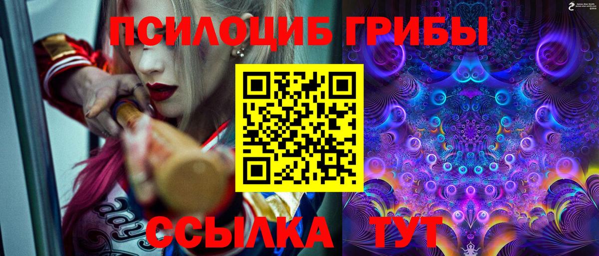 Псилоцибиновые грибы Magic Shrooms  Вход с VPN  Псилоцибиновые грибы ЛСД  цены наркотик  Майкоп 